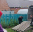 Вместе ради Победы: жители Аскинского района продолжают поддерживать участников специальной военной операции - Аскинский район
