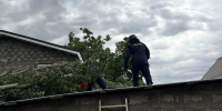 Дерево против газовой сети: спасатели Астрахани предотвратили беду на Авиационной - Astrakhanpost.Ru