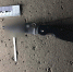 Вынесен приговор по уголовному делу об убийстве из хулиганских побуждений - Следственный комитет