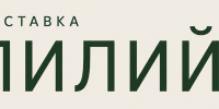 LogLilii2026 - Краеведческий музей