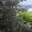 image - GazetaRB.Ru