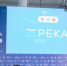 Стартовал первый форум «Река». - Администрация МО Курчатов