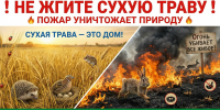 Пожарная безопасность летом - Город Искитим
