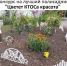 «Цветет КТОСа красота» - ТОС Омска