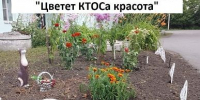 «Цветет КТОСа красота» - ТОС Омска