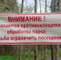 За неделю в Удмуртии клещи покусали ещё 600 человек - Сусанин