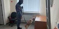 Вологодские росгвардейцы стали серебряными призерами Чемпионата по многоборью кинологов - Росгвардия
