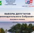 Территориальная избирательная комиссия г. Костомукши информирует - Костомукшский городской округ