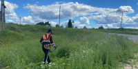 Дорожные работы в Маркушевском секторе. - Тарногский муниципальный округ