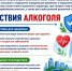 Алкоголь – это яд, который действует на все системы организма - Департамент здравоохранения