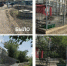 Screenshot_20260701_171612_MAX - Сетевое издание Арбуз