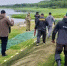 Восемь миллионов мальков муксуна отправились в Обь - Департамент АПК