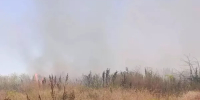 В Ростовской области на большой площади горит сухая трава - DonDay.Ru