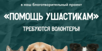 Ковчег ищет волонтеров - Свято-Троицкий собор