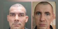 Двое граждан Украины признаны виновными в участии в террористическом сообществе - Следственный комитет
