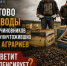 Пчелы дохнут, чиновники молчат: ставропольские пасечники выступили с заявлением после массовой гибели насекомых - Bloknot-Stavropol.Ru