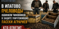 Пчелы дохнут, чиновники молчат: ставропольские пасечники выступили с заявлением после массовой гибели насекомых - Bloknot-Stavropol.Ru