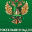 Фальсифицированный сыр нашли у нижегородского производителя - ИА Нижний сейчас