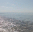 Черное море - Петрозаводск говорит