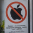 ФАС потребовала от Apple изменить настройки iPhone до 15 июля - Spbdnevnik.ru