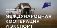 Региональный проект «Системные меры развития международной кооперации и экспорта» - Администрация городского округа