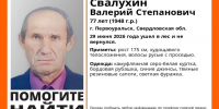 В Первоуральске ищут пенсионера, который ушел в лес и не вернулся - КП Екатеринбург