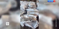 Полтонны кокаина нашли в замороженной рыбе в порту Петербурга - ГТРК Санкт-Петербург