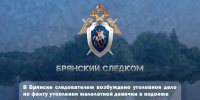 В Брянске следователем возбуждено уголовное дело по факту утопления малолетней девочки в водоеме - Следственный комитет