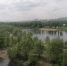 Прогноз погоды в Красноярске на 2 июля - 1-LINE