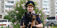 Полиция Хабаровска в День собак устроила милый флэшмоб - ИА Хабаровский край сегодня
