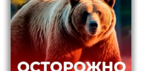 Меры безопасности при встрече с медведем в лесу. - Северо-Енисейский муниципальный округ