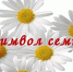 Приглашаем семьи алмазной столицы на ромашковый парад - Мирнинский район