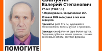 В Первоуральске 77-летний пенсионер ушёл в лес и не вернулся - ИА Уральский меридиан