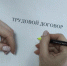 Благовещенка, заключившая с мигрантом фиктивный трудовой договор, выслушала приговор - Asn24.Ru
