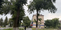 Переменная облачность ожидается в Бугульме 2 июля - Бугульминская газета