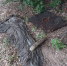 image - GazetaRB.Ru