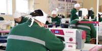За полгода оренбургские колонии заработали 70 миллионов рублей - Time56.Ru