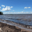 На Рыбинском водохранилище появилась черная вода | Источник: Анастасия Вязигина / 76.RU - 76.Ru