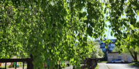 Общее число пострадавших в Самарской области превысило отметку в три тысячи - КТВ-ЛУЧ