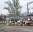 Борьба с незаконными свалками в Новочеркасске: контроль и штрафы - Газета Новочеркасские ведомости