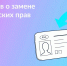 🚗 Медосмотр, экзамен и ОСАГО: ответы на вопросы о замене водительского удостоверения - Городское поселение Октябрьское