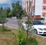 Горожанка пожаловалась на работу предприятия по озеленению города - Balashover.Ru
