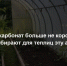 Пленка и поликарбонат больше не короли огородов: сейчас все предпочитают для теплиц этот вариант - куда надежнее и удобнее - Prochepetsk.ru
