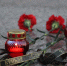 2 июля 2014 года навсегда останется черной датой для Луганщины — Пасечник - Луганский Информационный Центр