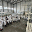 20 тыс тонн семян в год - vOrle.Ru