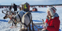 олени на снегу - ИА Nord-News.Ru