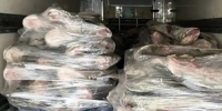 На юге Астраханской области накрыли группу, у которой окалось более 100 тонн немаркированной рыбы - Punkt-a.info