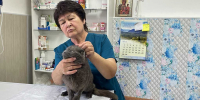 Фото: Людмила Маковецкая - Алтайская правда