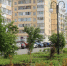 В Коми высадили 1400 кустарников и 20 деревьев - Pro Город Ухта