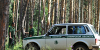 Каждое дерево в Рачейском лесу под Сызранью проверят от и до - КТВ-ЛУЧ